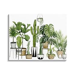 Stupell Industries Boho Plant Scene with Cacti and