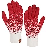 FZ FANTASTIC ZONE Womens Winter Warm Touchscreen Gloves Knit Working Texting Thermal Gloves for Women Cold Weather Gifts
