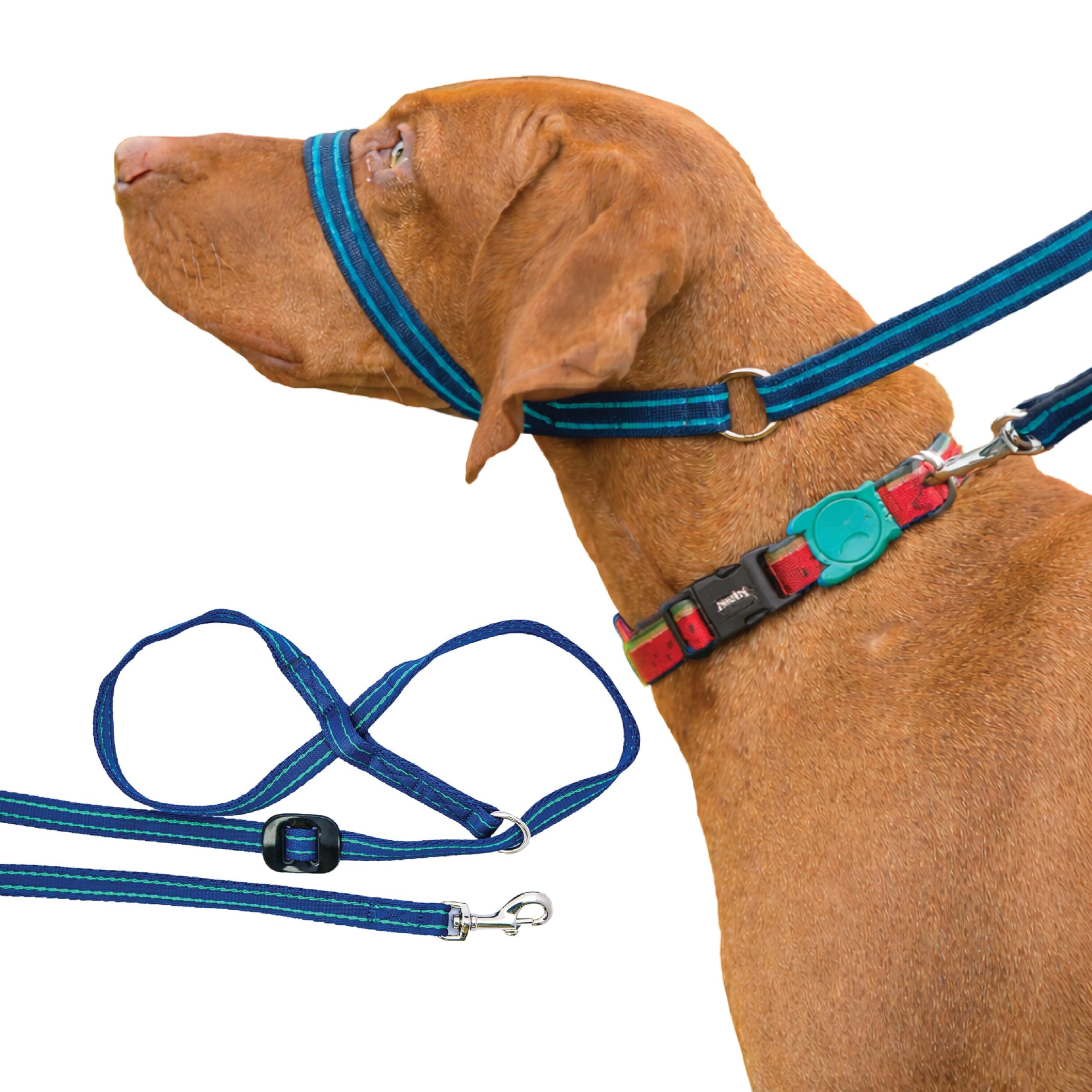 Gencon - Clip-to-Collar Dog Headcollar and Lead - Trainer Approved - One Size Dog Training & Behaviour Aid - Soft & Gentle Design with Trigger Clip - Left - Made in Britain - Navy/Jade