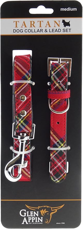 american journey cat food petsmart