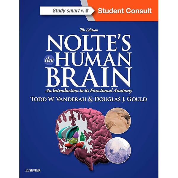 Nolte's The Human Brain: An Introduction to its Functional