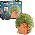 Chia Pet Cthulhu with Seed Pack, Decorative Pottery Planter, Easy to Do and Fun to Grow, Novelty Gift, Perfect for Any Occasion
