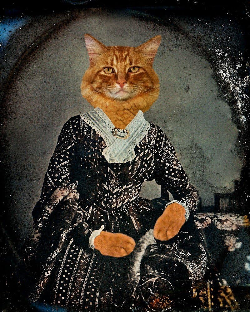 Victorian GINGER TABBY PERSIAN CAT altered kitty portrait anthro art print