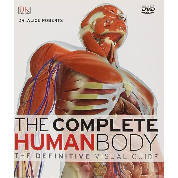 Amazon.com: Inside the Human Body [DVD] : Movies & TV