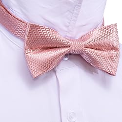 Barry.Wang Blush Pink Bow Ties for Men Pre-tied Bow