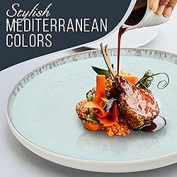 Stoneware Dinner Plates Set of 4, Modern Style
