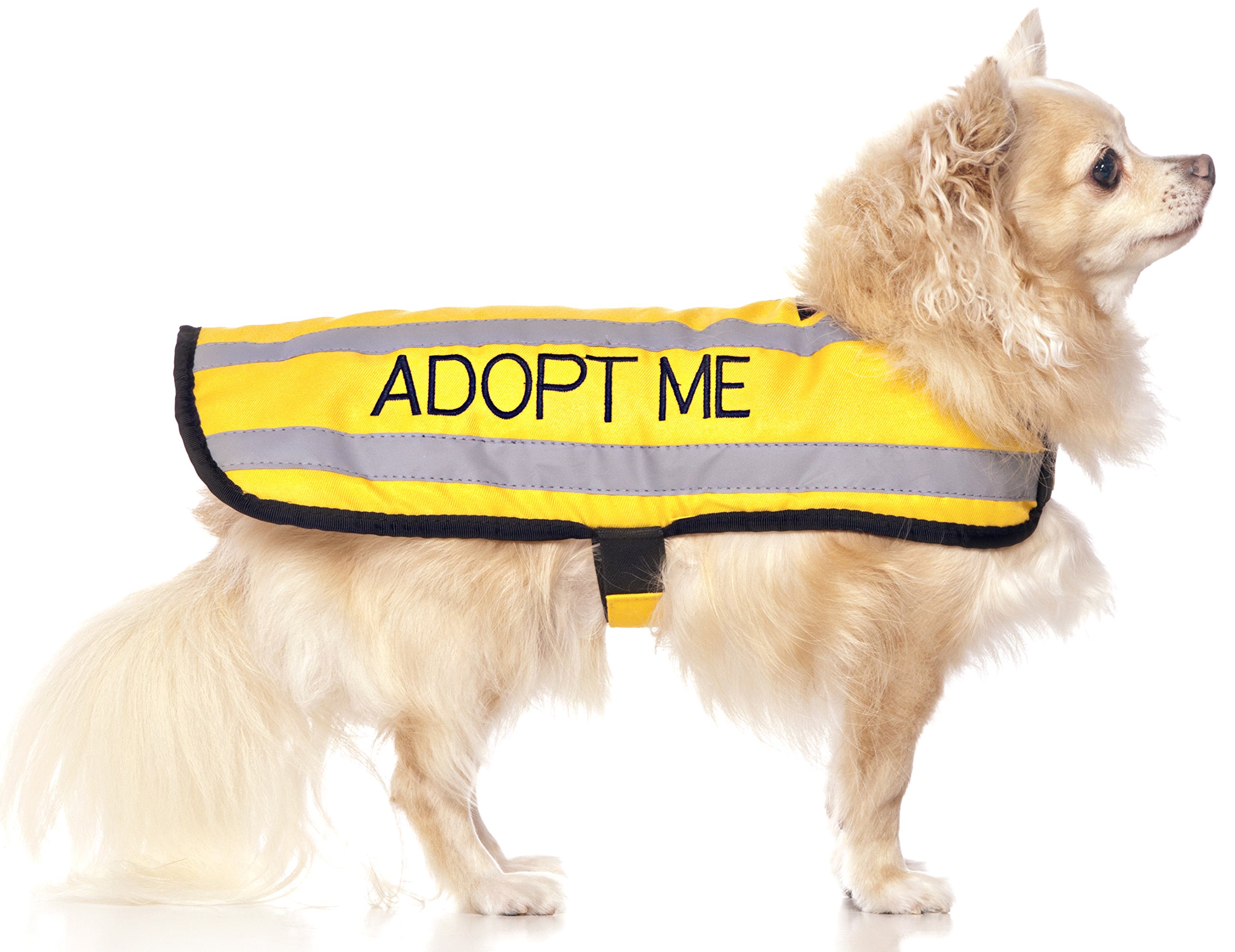 Dexil ADOPT ME (I Need A New Home) Yellow Colour Coded S M L Reflective Waterproof Fleece Lined Warm Dog Coats PREVENTS Accidents By Warning Others Of Your Dog In Advance (S)