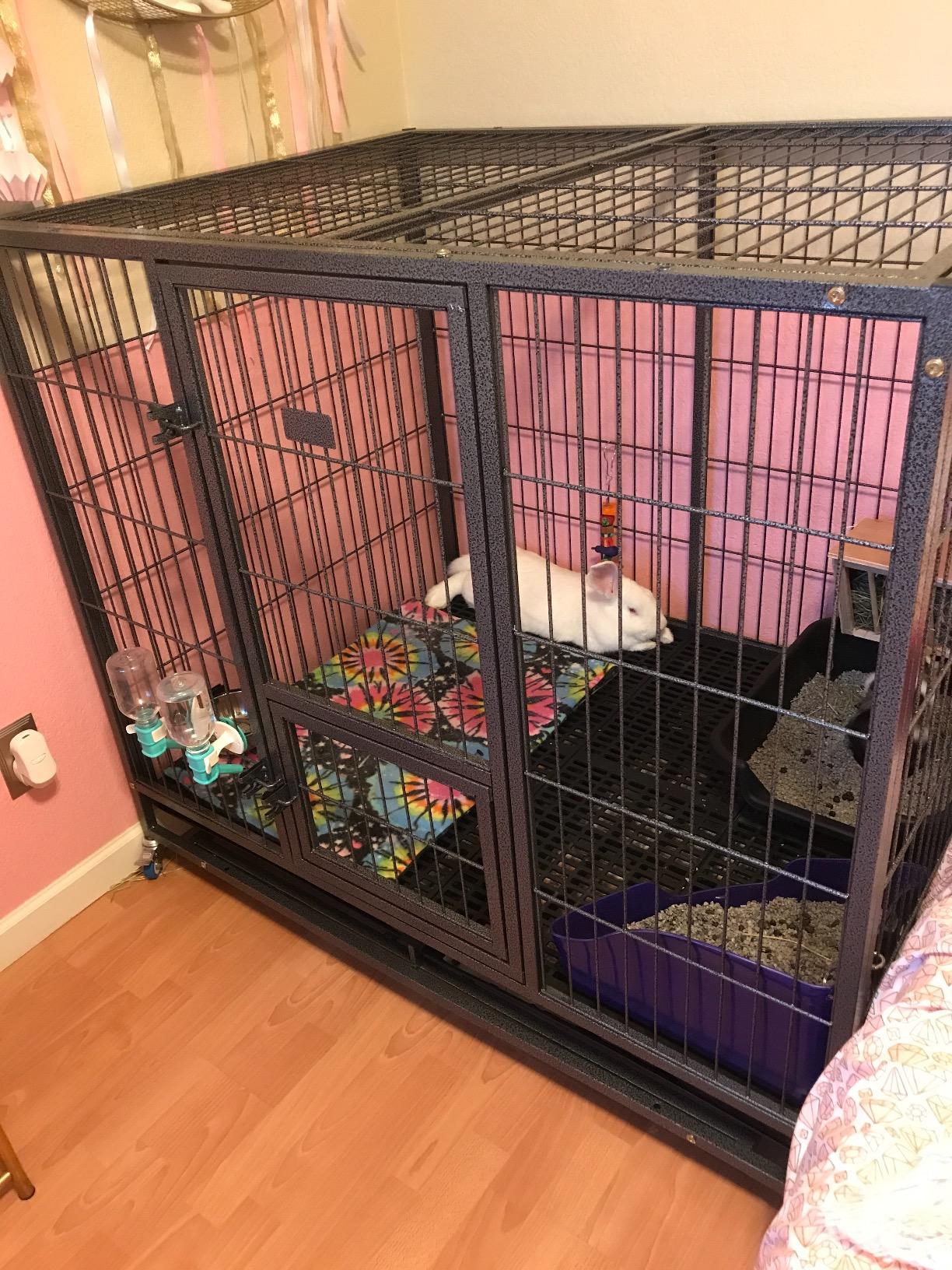 30/mo Finance Homey Pet49 Extra Large Heavy Duty Metal Dog Cage w