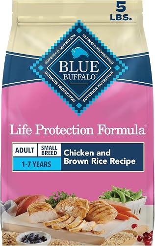 Blue Buffalo Life Protection alimento seco para perros de raza pequeña — Comida para perros