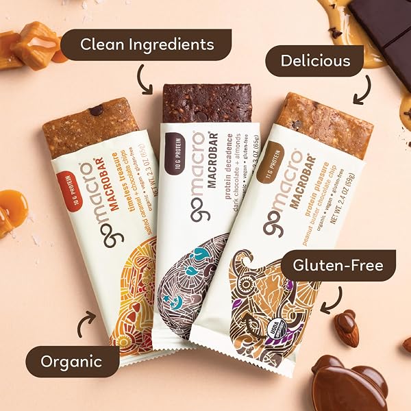GOMACRO MACROBAR ORGANIC VEGAN PROTEIN BARS – CHOCOLATE LOVER VARIETY PACK (2.3 OUNCE BARS, 12 COUNT)