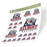 Desert Cactus Belmont University Stickers Belmont Bruins Vinyl Decal Laptop Water Bottle Car Scrapbook Sheet (Type 3-1)