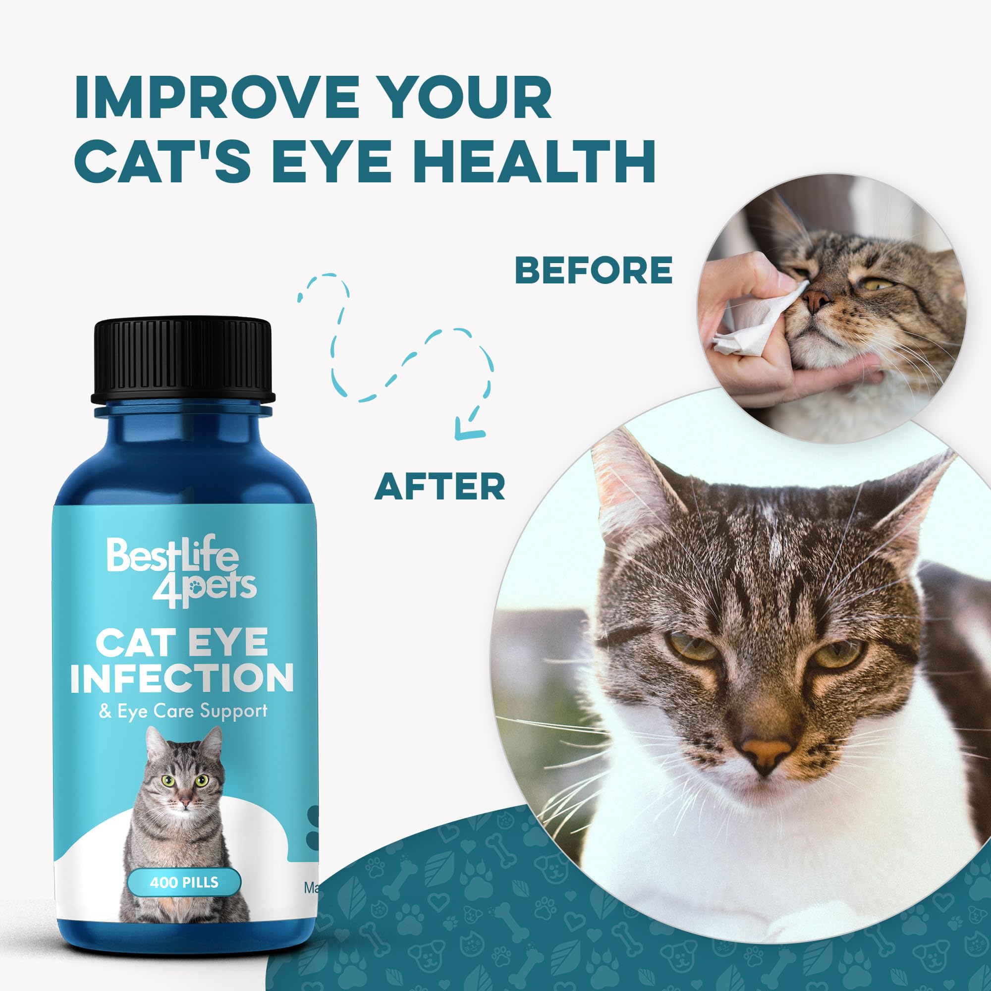 Mua Cat Eye Infection & Eye Care Support - Holistic Vision Support for