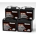 HumsiENK 12V 100Ah LiFePO4 Battery Lithium Built In 100A Smart BMS Portable Group 24 Size Lithium 1280Wh Battery 15000 Deep Cycles 10 Years Lifespan for RV Solar Energy Off Grid Trolling Motor (4PACK)