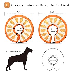 Dog Cone Collar for Small Medium Large Dogs for