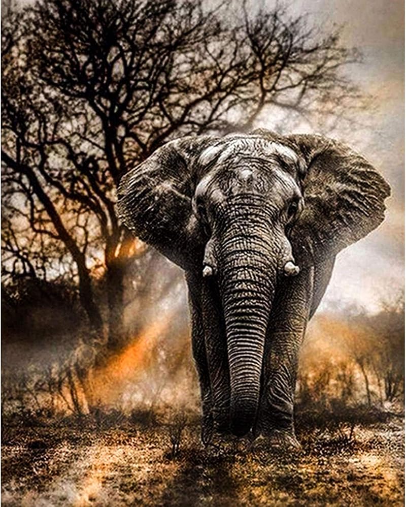 LJHOME 5D Diamond Painting Kit Full Drill Elephant Rhinestone Art Craft