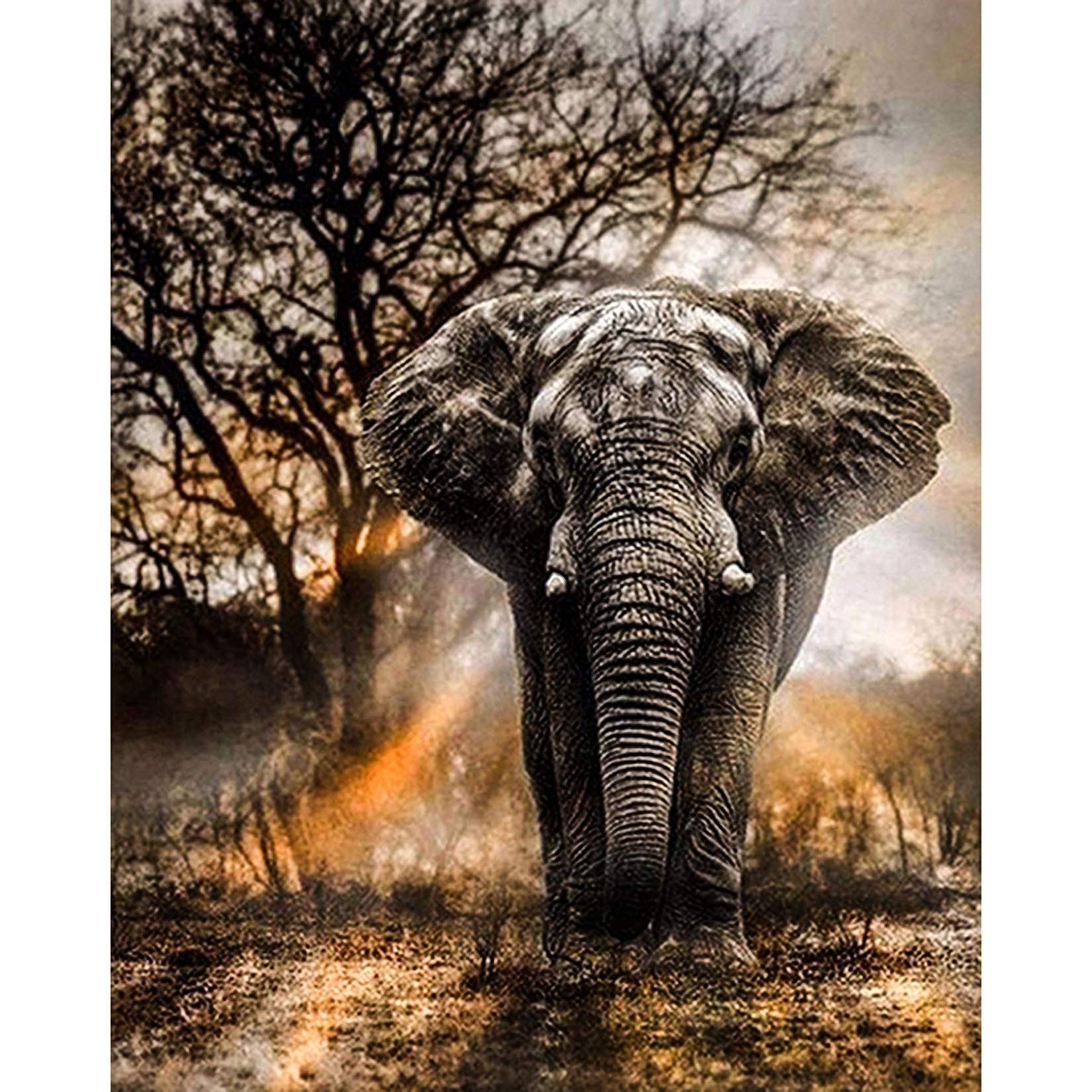 LJHOME 5D Diamond Paint Kits Full Drill, Elephant Crystal Rhinestone Diamond Embroidery Art Pictures, DIY Arts Craft Supply for Adults, Kids, Home, Wall Decor