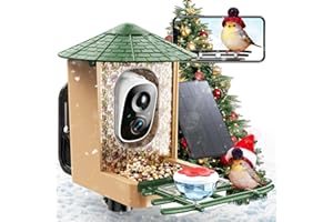 ZUPIROL Smart Bird Feeder with Camera with AI Identify Birds Species & Solar Panel, WiFi Birdfeeder with Cam, 2K Live View, Chew-Proof & Waterproof Design, Real-Time App Alerts, Gift for Bird Lovers, Green