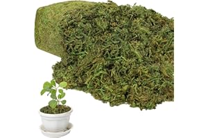 YUNVI 17.6 OZ Large Capacity Artificial Moss for Potted Plants,Natural Fake Moss Grass for Plants Indoor,Craft and Greenery Bulk for Hamsters(Fresh Green)