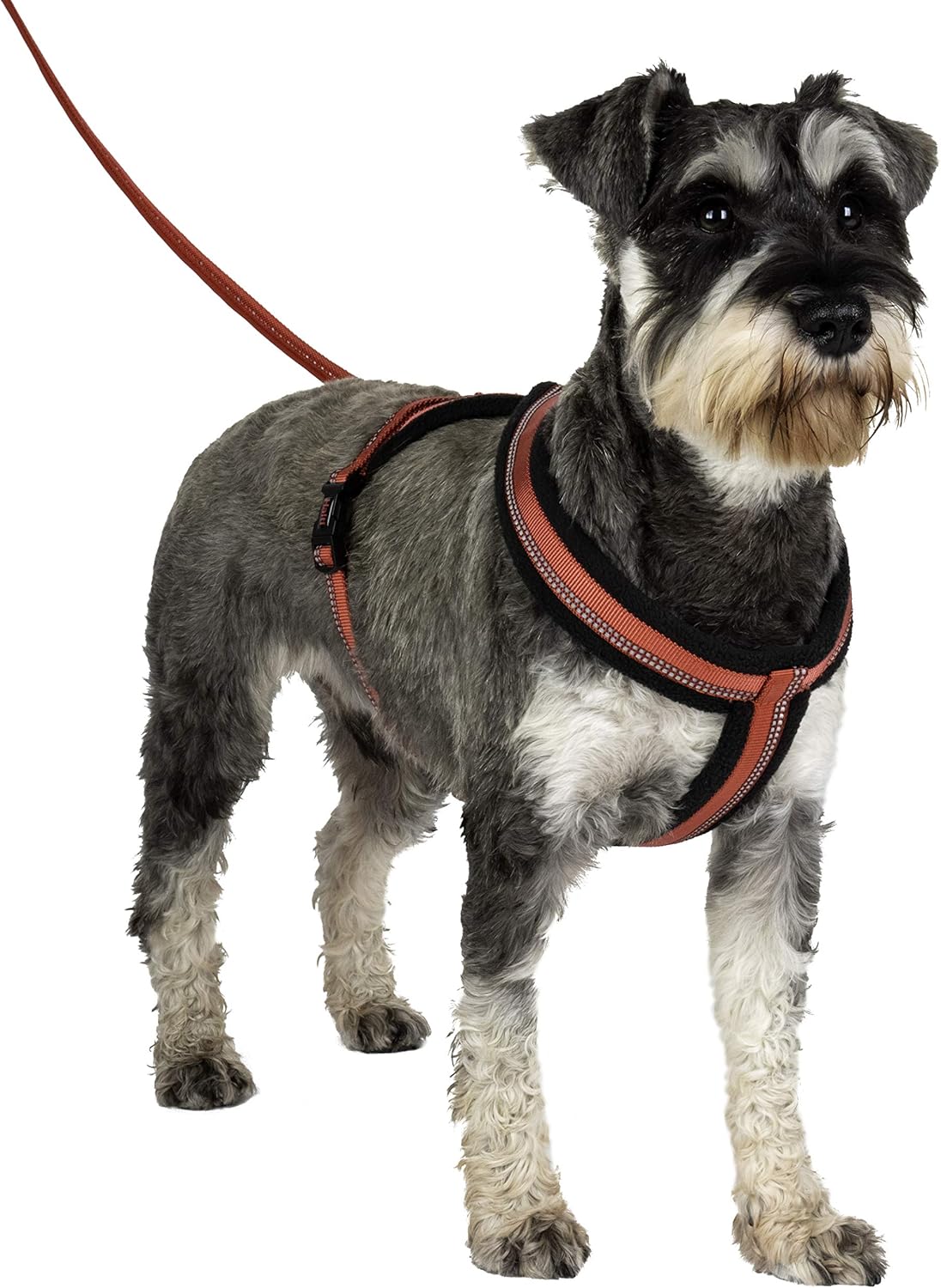 Halti Comfy Harness, Lightweight, Fleece-Lined, Reflective and Adjustable Dog Harness - Image 3