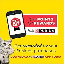Purina Friskies Wet Cat Food Gravy Pate, Extra