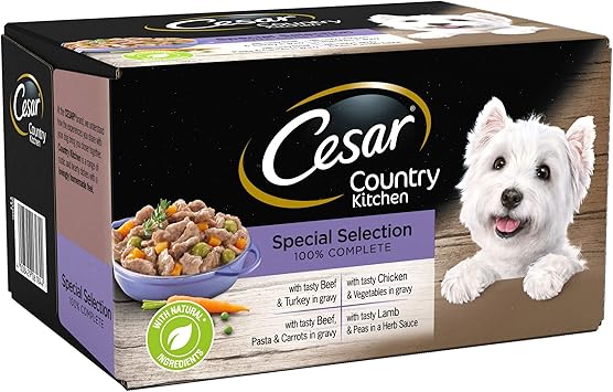 biggest wild cat ever