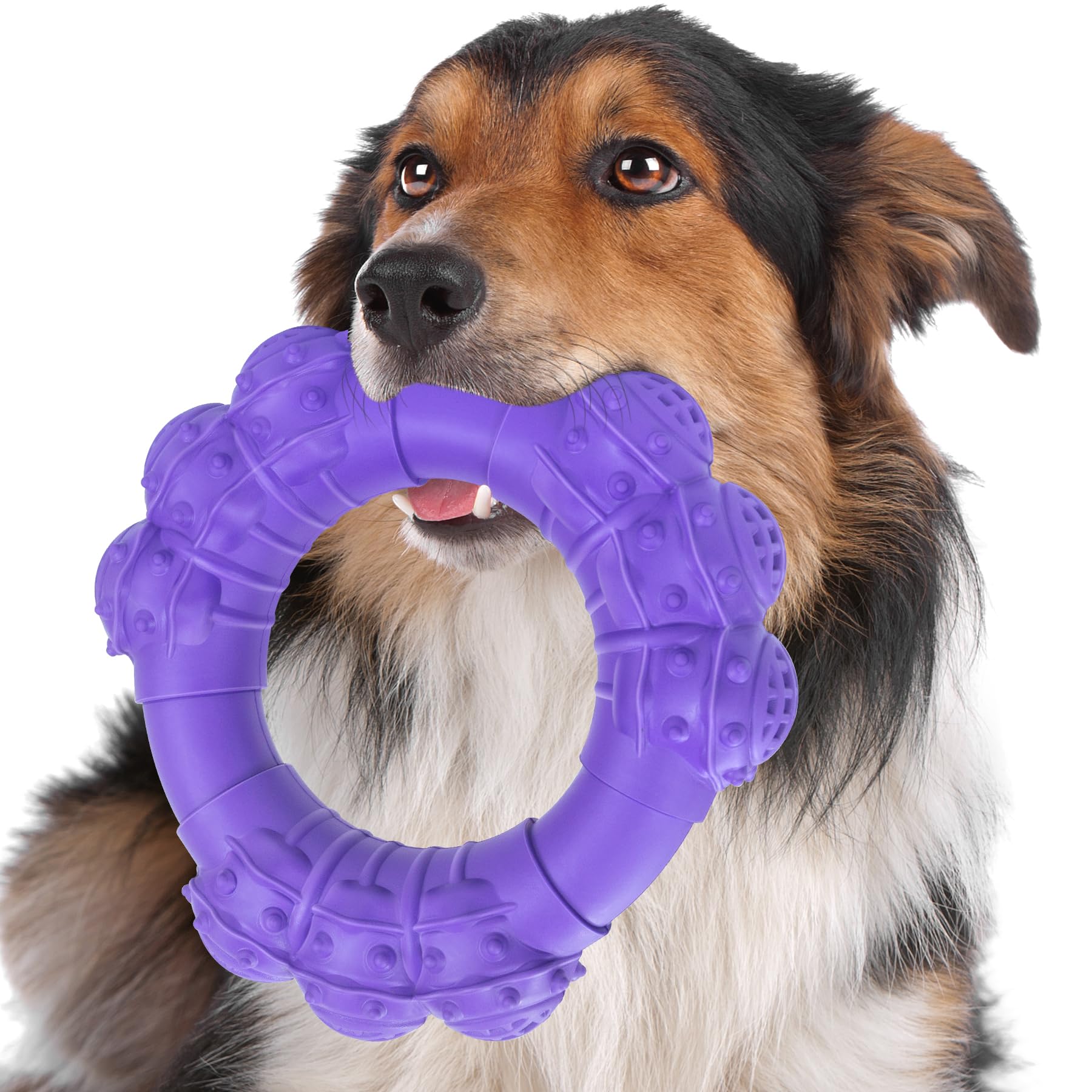 Photo 1 of DAOZIJI Indestructible Dog Chew Toys for Aggressive Chewers, Super Chewer Toys for Medium Large Dogs, Interactive Ring Toy, Heavy Duty Teething Toys