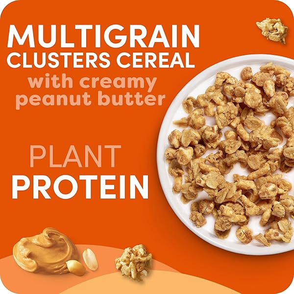 KASHI GO PROTEIN CEREAL, 10G PROTEIN, 10G FIBER, PEANUT BUTTER CRUNCH, 16.9OZ BOX (1 BOX)
