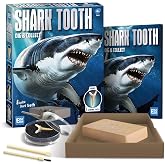 EGGBOX Shark Tooth Dig Kit Excavate 8 Shark Fossils Including Great White, Angel, Bullhead, Longnose, Sand Tiger Shark and so on. Great Science Gift for Marine Biology Enthusiasts of Any Age