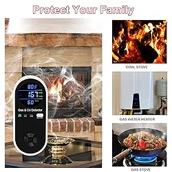 2 Packs Combination Gas & Carbon Monoxide