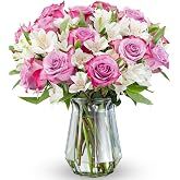 Benchmark Bouquets - Delightful Roses &amp; Alstroemeria (Glass Vase Included) - Fresh Flowers for Delivery - Gift for Graduation, Birthday, Anniversary, Sympathy, Get Well, Congratulations