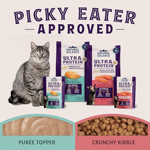 NATURAL BALANCE ULTRA PROTEIN PLUS WET CAT FOOD, IMMUNE & DIGESTIVE HEALTH REAL CHICKEN WITH PUMPKIN PUREE TOPPER WITH CHICKEN LIVER & CHICKEN HEART, HIGH PROTEIN CAT FOOD – 2.4 OZ.