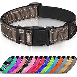 Joytale Reflective Dog Collar, Soft Neoprene