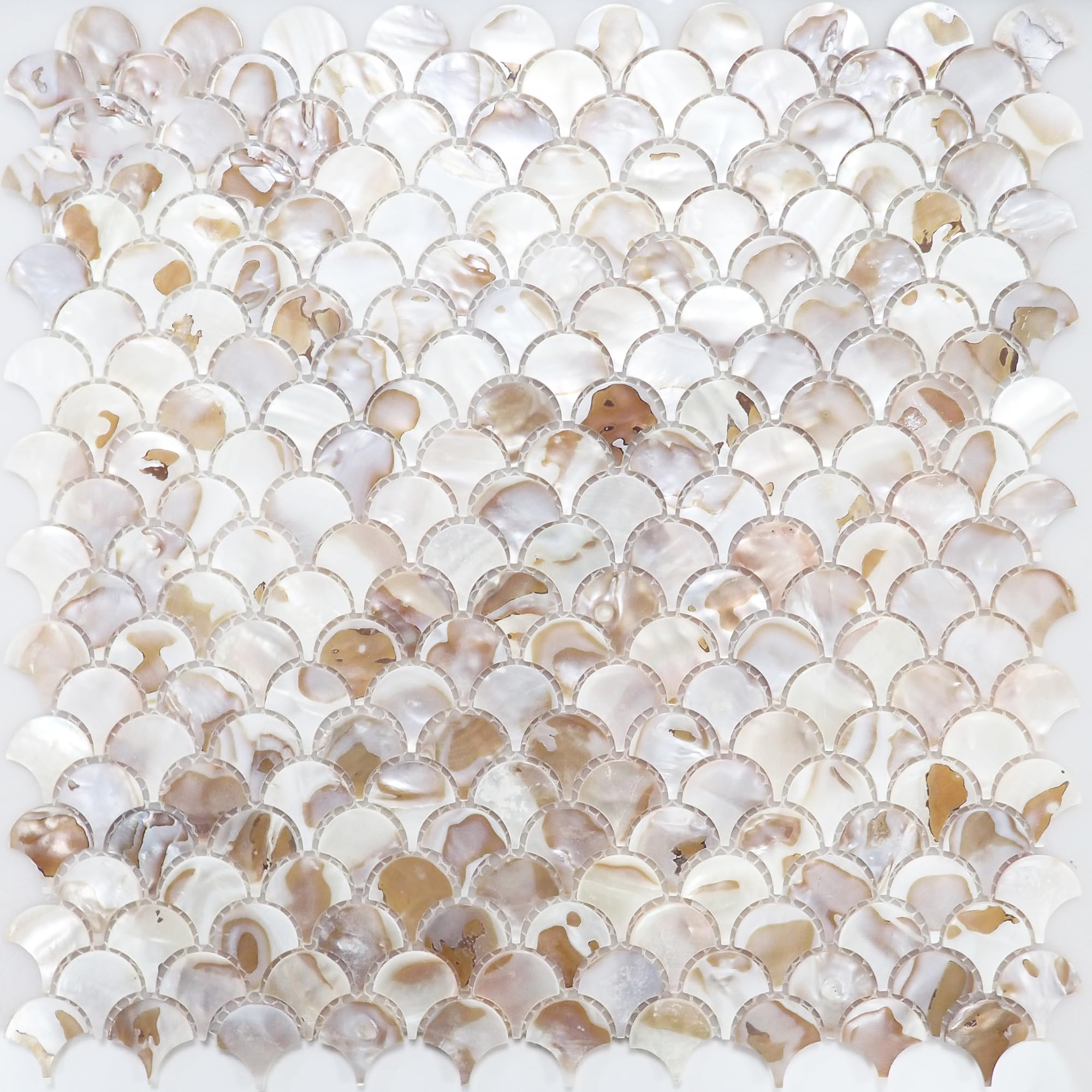 Incudo Natural Mother of Pearl Fan Mosaic Tiles - 300x300mm, Pack of 4, Mesh Backing