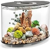 biOrb Loop 15 Acrylic 4-Gallon Aquarium with White LED Lights Modern Compact Tank for Tabletop or Desktop Display, Black-Trimmed Tank