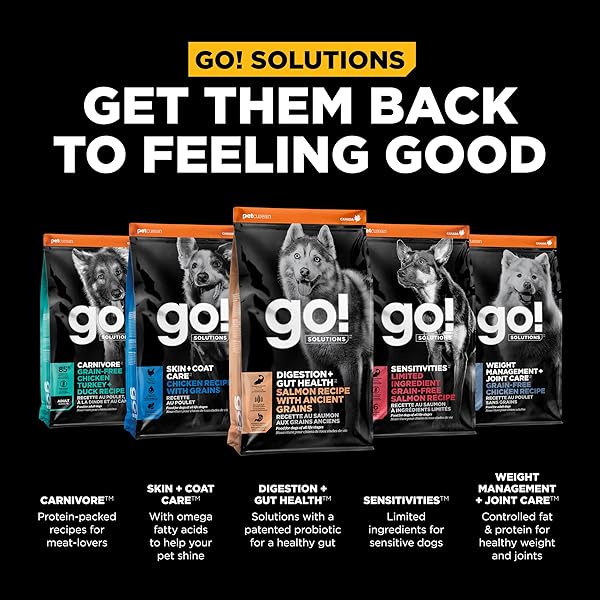GO! SOLUTIONS DIGESTION + GUT HEALTH SALMON SOFT & CHEWY DOG TREATS, CHICKEN-FREE, HEALTHY SNACKS FOR DIGESTIVE WELLNESS, GREAT FOR TRAINING, FOR PUPPIES, ADULTS & SENIORS, 6 OZ BAG