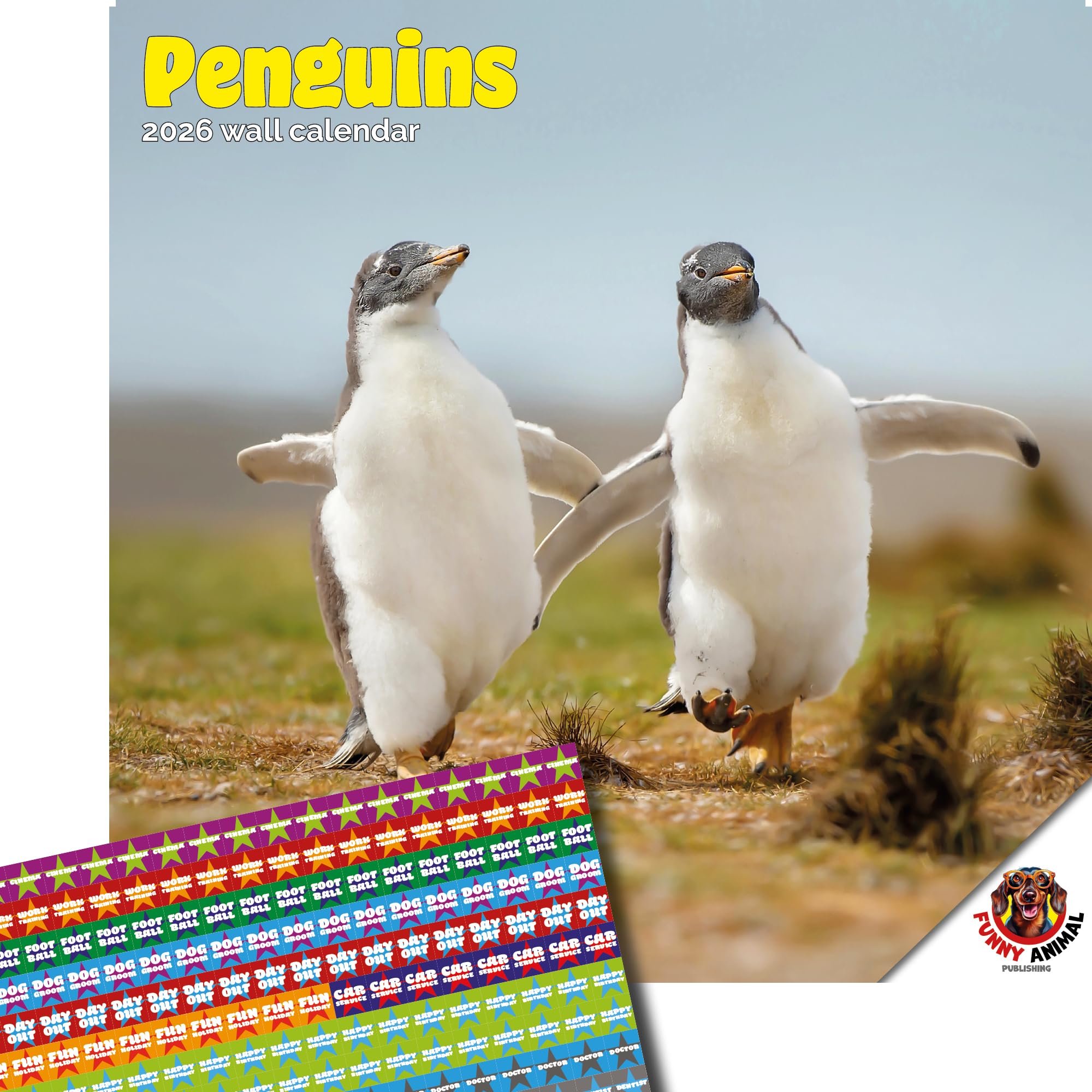 Dayplanner Publishing Penguins Calendar 2026, Large Square Wall Calendar With Organisational Stickers, 16 Month, Penguins Gift Wildlife Calendar