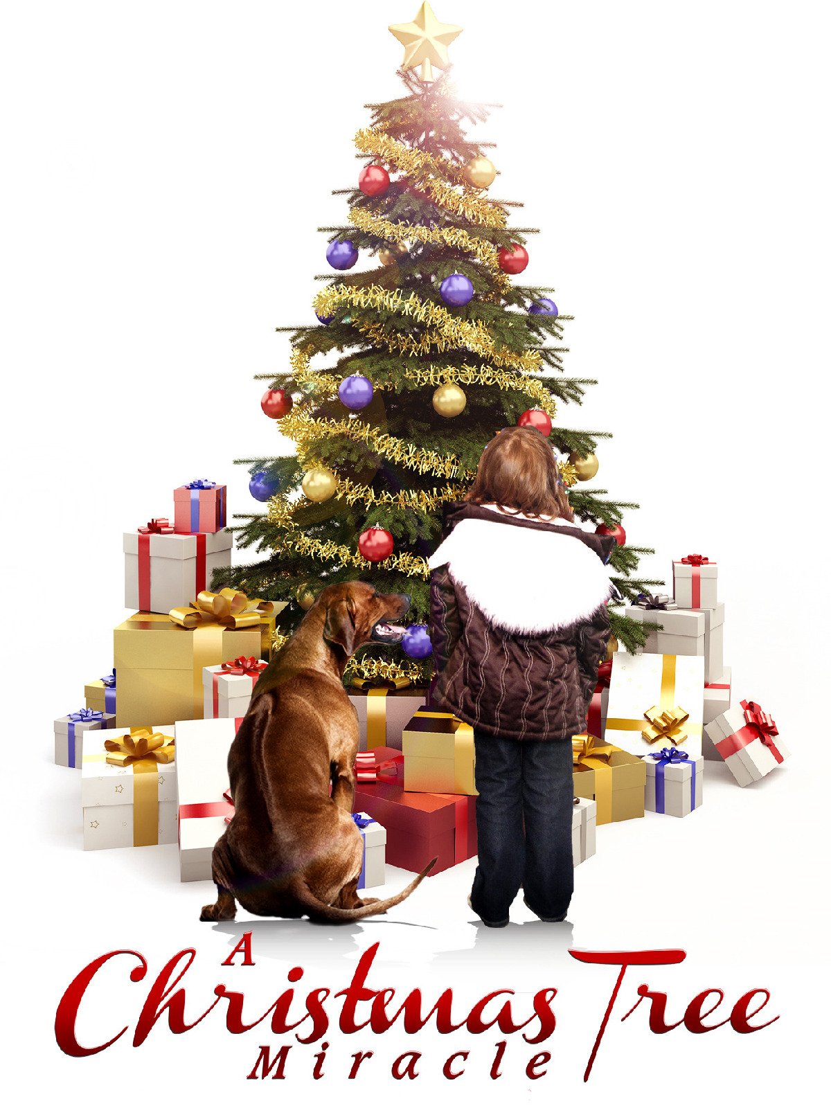 2022 Christmas Tree Miracle On Up Watch A Christmas Tree Miracle | Prime Video