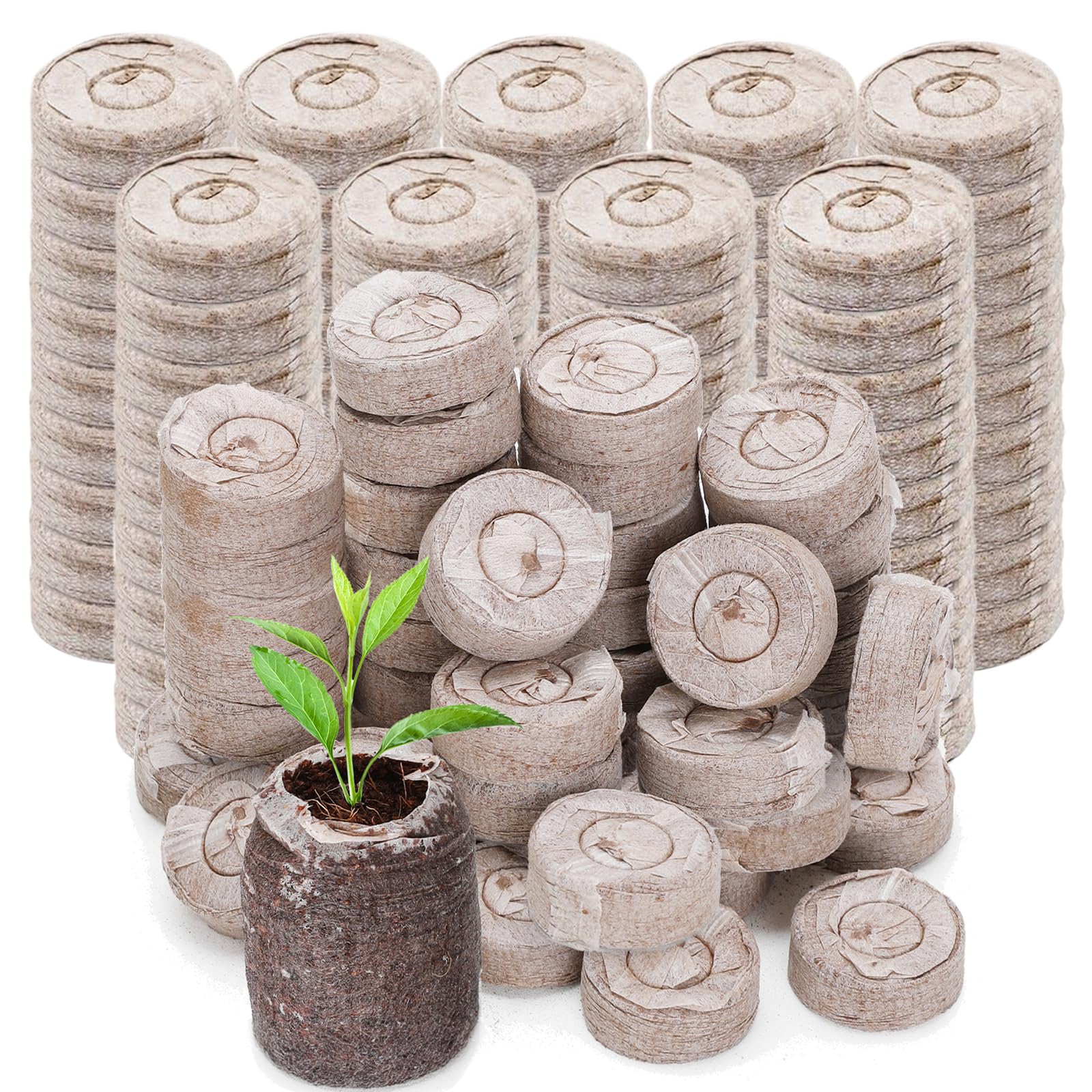 GOTVUGE 50pcs Seed Starter Pods Coir Pellets 30mm for Seedlings, Garden Plant Seed Starter Kit for Vegetable, Flower, Bonsai Tree