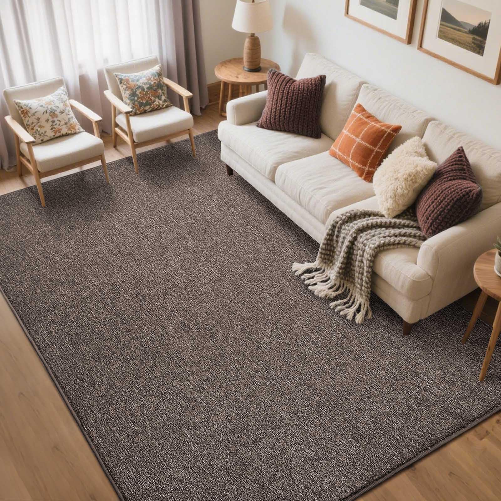 Photo 1 of FinRe?c 5x7 Washable Area Rugs for Bedroom Living Room, Low Pile Thin Rug Solid Color, Non-Slip Carpet Indoor for Home Decor (Brown)
