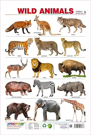 Amazon Com Spectrum Pre School Kids Learning Poster Educational Wild Animals Name Wall Chart Industrial Scientific
