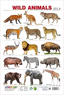 Amazon Com Spectrum Laminated Educational Pre School Kids Domestic Animals Name Wall Chart Industrial Scientific