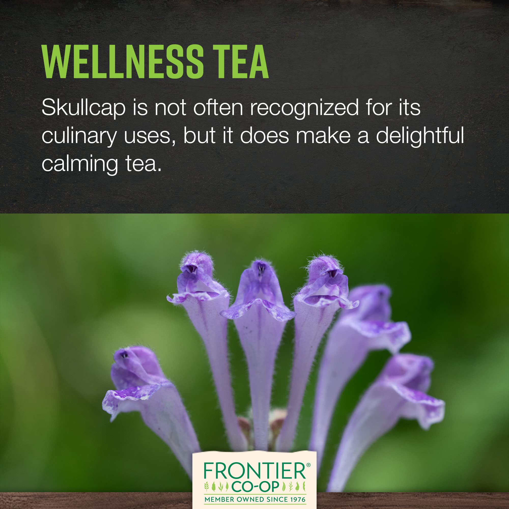 Frontier Co-op Organic Scullcap Herb Cut & Sifted Certified Organic Herbal Supplement 1lb - Skullcap Herb for Tincture, Tea, Supplement