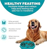 Outward Hound Slow Feeder Dog Bowl Large Turquoise – Non-Slip, Durable view 2