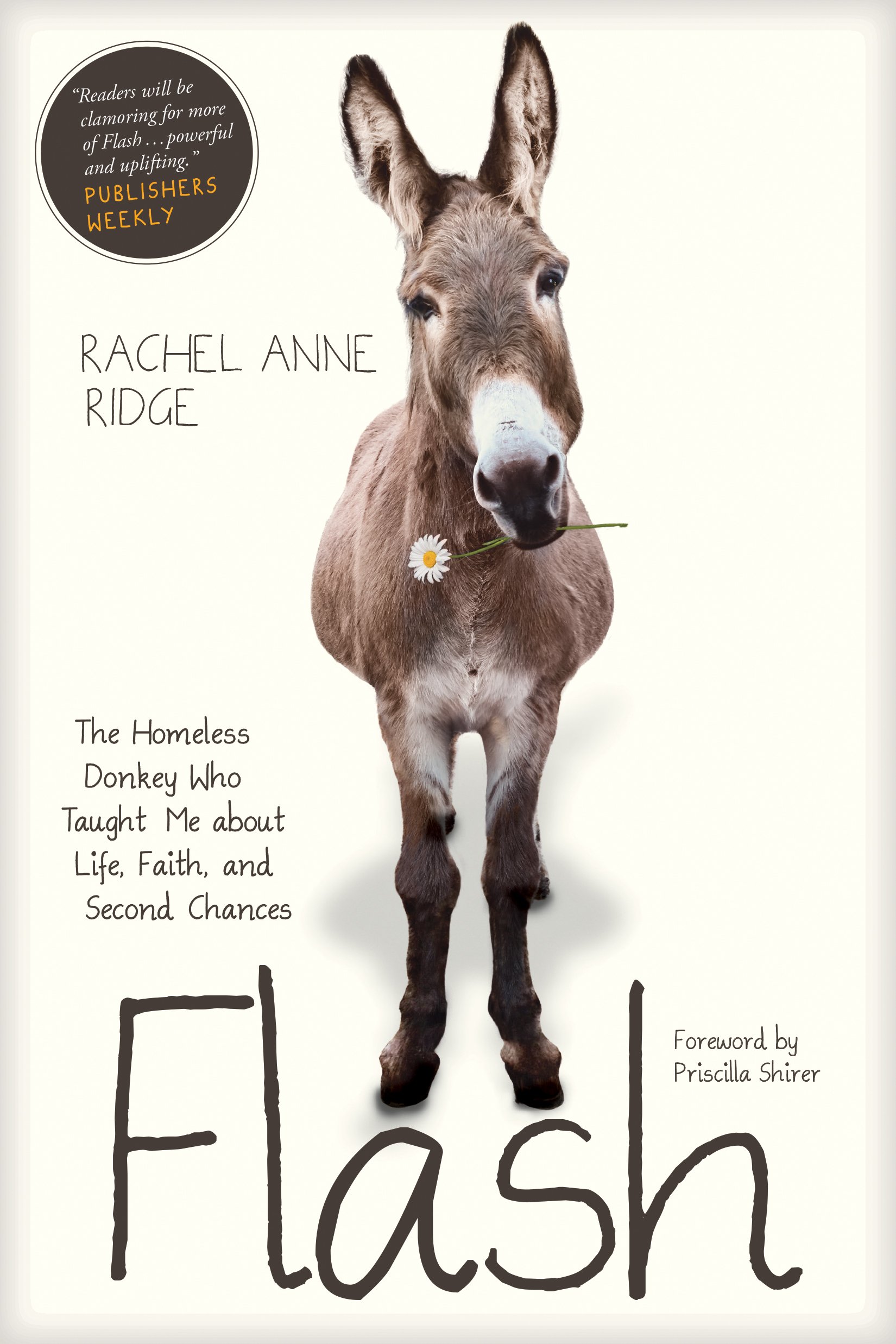 Flash: The Homeless Donkey Who Taught Me about Life, Faith, and Second Chances (Flash the Donkey)