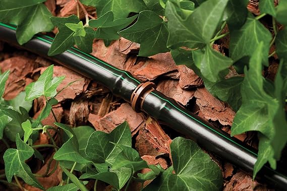 Rain Bird T63 – 500S Goteo riego 1/2 
