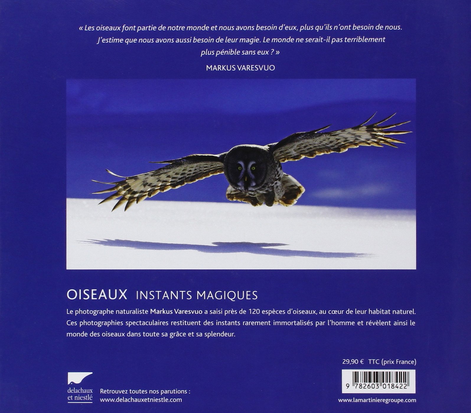 Amazonfr Oiseaux Instants Magiques Markus Varesvuo - 