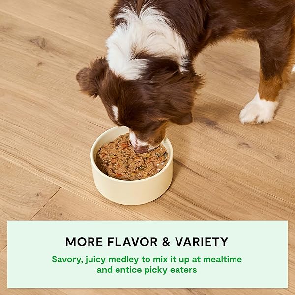 OPEN FARM RUSTIC STEWS WET DOG FOOD, GRAIN-FREE, COMPLETE & BALANCED WITH HUMAN-GRADE INGREDIENTS, HUMANELY-RAISED MEAT & BONE BROTH, HERRING & MACKEREL RECIPE, 12.5OZ PACKS (CASE OF 12)