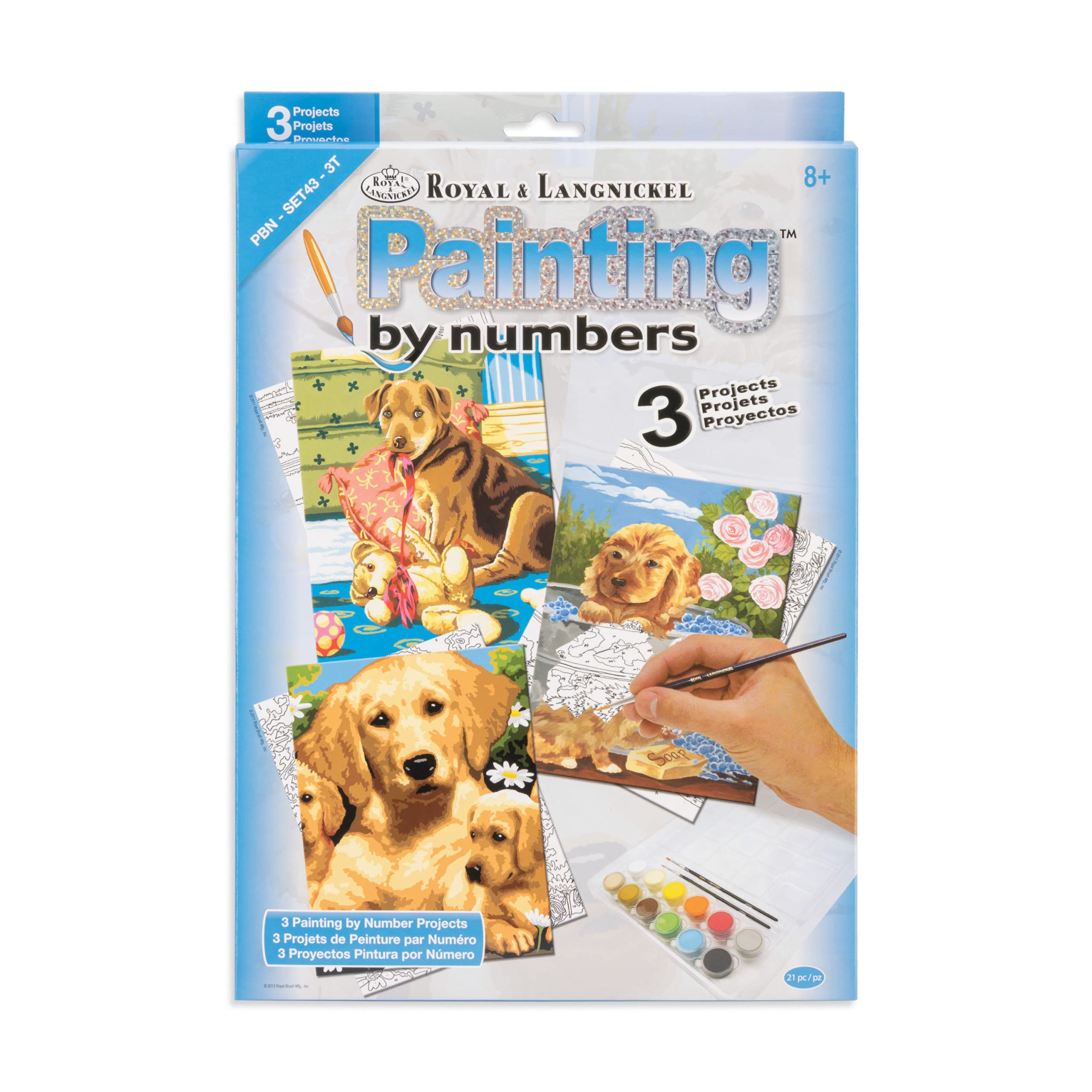 Royal & Langnickel PBN-SET43 Painting by Numbers Value Set (3 Piece)
