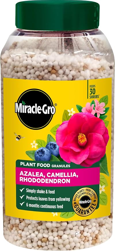 Miracle-Gro Premium Azalea Camellia Rhododendron Continuous Release Plant Food