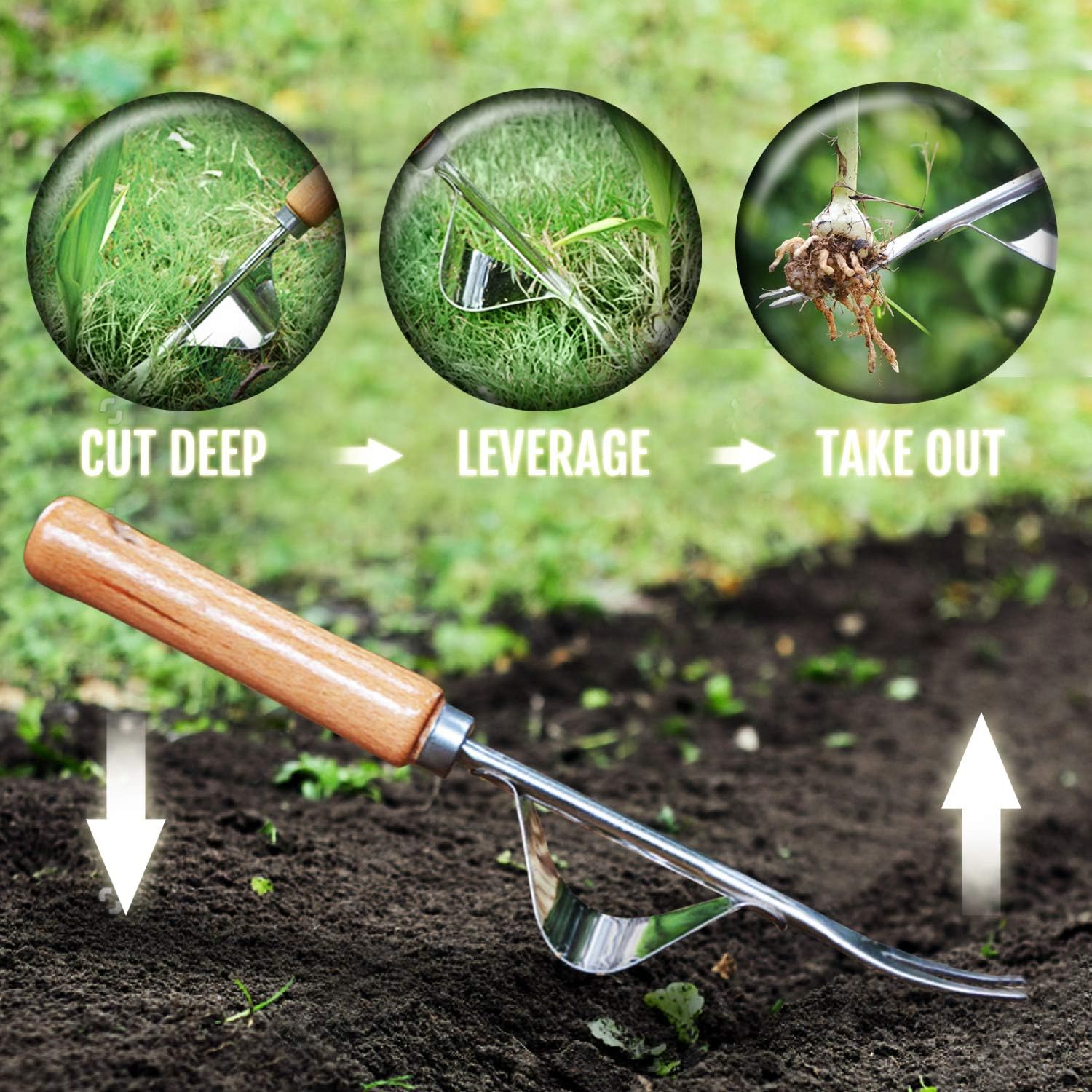 Betus Manual Hand Weeder - Bend-Proof Leverage Base for Super Easy Weed Removal & Deeper Digging - Sturdy Chrome Plated Steel - Compact Garden Weed Puller Tool for Yard Lawn and Farm : Garden & Outdoor